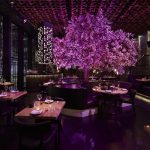 Exploring the Details of Tattu Manchester A Look Into Facilities and Services