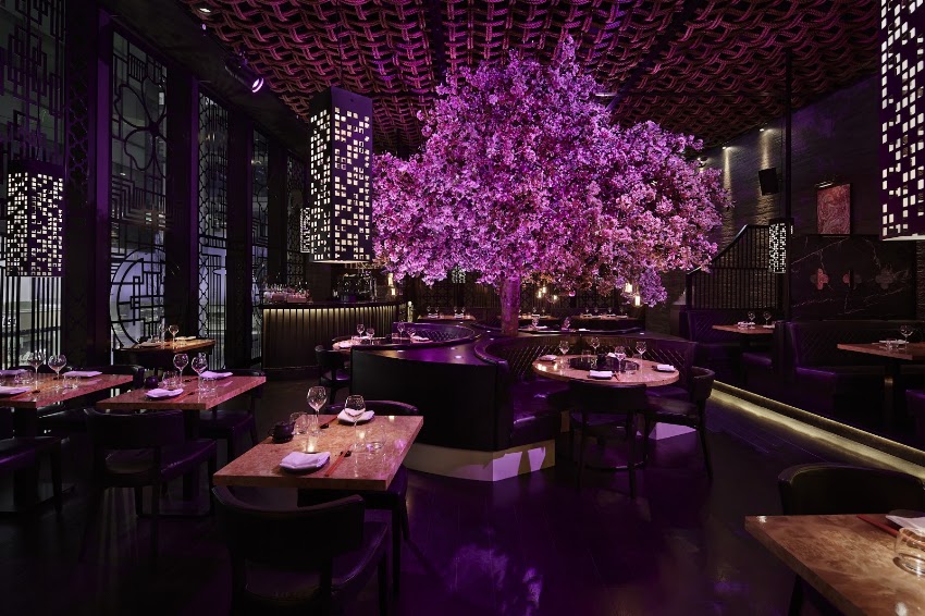 Exploring the Details of Tattu Manchester A Look Into Facilities and Services
